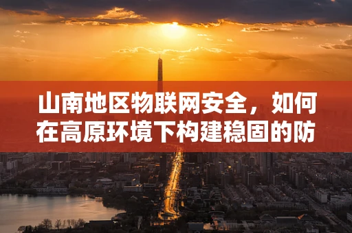 山南地区物联网安全，如何在高原环境下构建稳固的防御体系？